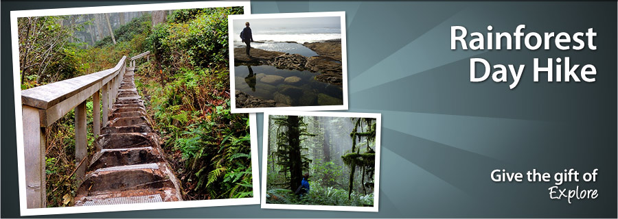 Rainforest Half-Day Hike - Victoria, BC - $89