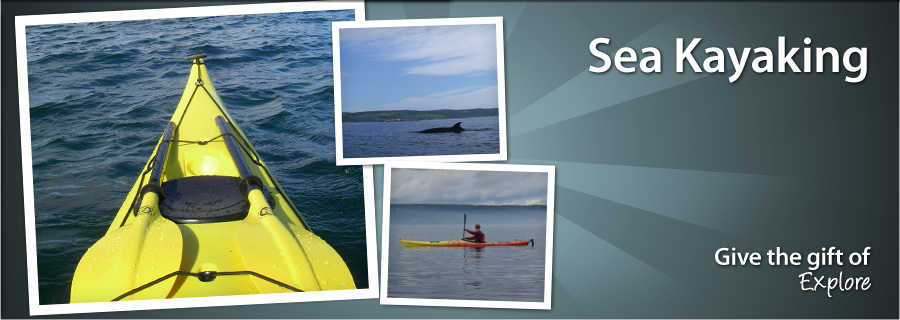 Sea Kayaking - Cape Breton, NS - $89